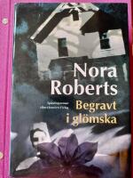 Begravt i gl&ouml;mska - sp&auml;nningsroman