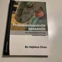 Problemskapande beteende vid utvecklingsm&auml;ssiga funktionshinder