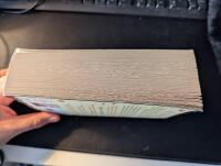 The Girl You Left Behind