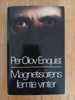 Magnetis&ouml;rens Femte Vinter