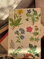 V&aring;r flora i f&auml;rg