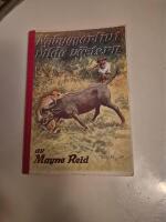 Nybyggarliv i vilda v&auml;stern