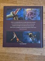 Fr&ouml;bok Fr&aring;n s&aring;dd till planta