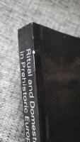 Ritual and Domestic Life in Prehistoric Europe