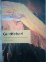 Guldfeber! : V&auml;rldsbanken och gruvindustrin