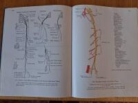 An Atlas of Anatomy