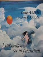 Hur natten ser ut p&aring; mitten