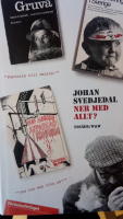 Ner med allt? : ess&auml;er om protestlitteraturen och demokratin, cirka 1965-1975