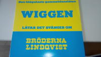 Viggen. L&aring;tar det sv&auml;nger om