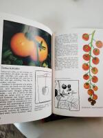 Tr&auml;dg&aring;rdsbalkongen : l&aring;t inte din balkong st&aring; tom! g&ouml;r ett sk&ouml;nt uterum med blommor, kryddv&auml;xter & gr&ouml;nsaker