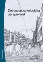 Det socialpsykologiska perspektivet