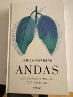 Andas : livet h&auml;nder mellan tv&aring; andetag