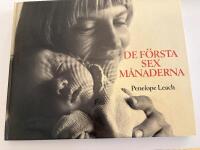 De f&ouml;rsta sex m&aring;naderna : l&auml;r k&auml;nna ditt barn