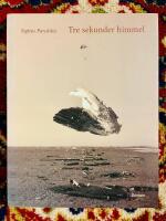 Tre sekunder himmel: roman