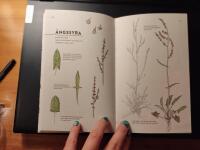 &Auml;ta vilda v&auml;xter