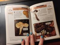 Svampguiden : l&auml;r dig k&auml;nna igen 150 svampar