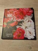 100 pioner
