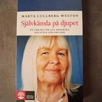 Sj&auml;lvk&auml;nsla p&aring; djupet : en terapi f&ouml;r att reparera negativa sj&auml;lvbilder