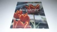 Tulpaner