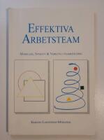 Effektiva arbetsteam : Modeller, syns&auml;tt & verktyg i teambuilding