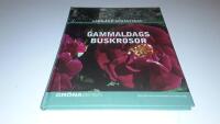 Gammaldags buskrosor