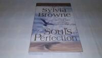 Souls perfection book 2
