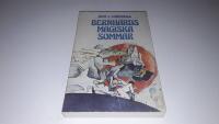 Bernhards magiska sommar