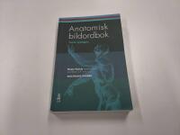 Anatomisk bildordbok