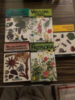 Skogens tr&auml;d och buskar i f&auml;rg