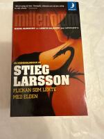 Flickan som lekte med elden - [en kriminalroman]