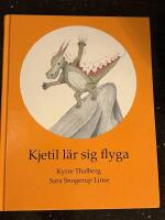 Kjetil l&auml;r sig flyga
