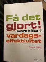 F&aring; det gjort! : svart b&auml;lte i vardagseffektivitet