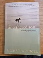 Untethered soul - the journey beyond yourself