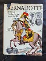 Bernadotte : historien - och historier - om en familj