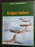 Kriget i luften