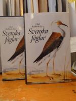 Olof Rudbeck d.y:s Svenska f&aring;glar.