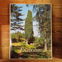 Eneboken