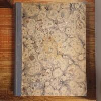 G&ouml;teborgsbilder 1850-1950.