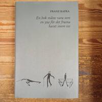 En bok m&aring;ste vara som en yxa f&ouml;r det frusna havet inom oss. Brev 1900 - oktober 1912.