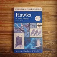 A Field Guide to Hawks of North America