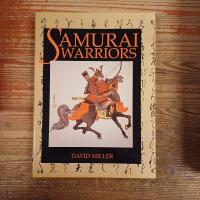 Samurai Warriors