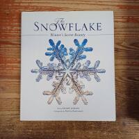 The Snowflake: Winter's Secret Beauty