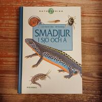 Sm&aring;djur i sj&ouml; och &aring;