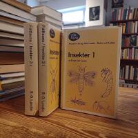 F&auml;ltfauna: Insekter 1 & 2:1 & 2:2