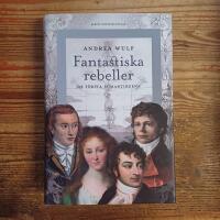 Fantastiska rebeller: De f&ouml;rsta romantikerna