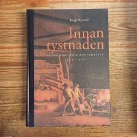 Innan tystnaden: Stjernsfors bruk och samh&auml;lle 1800-1900