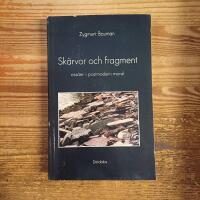Sk&auml;rvor och fragment: Ess&auml;er i postmodern moral