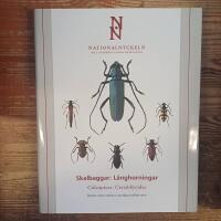 Skalbaggar : l&aring;nghorningar. Coleoptera : cerambycidae