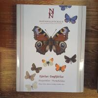 Fj&auml;rilar : dagfj&auml;rilar. Hesperiidae : nymphalidae