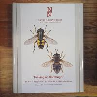 Tv&aring;vingar Blomflugor Diptera: Erisalinae & Microdontinae Klotband